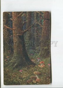 471886 Pavel KORBER Forest MUSHROOM Vintage postcard POST 1922 year Szeghalom