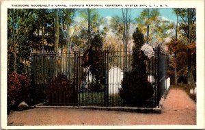 New York Long Island Oyster Bay Young's Cemetery Theodore Roosevelt Grave