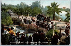 Vtg Los Angeles California CA Watching the Seals West Lake Park 1910s Postcard