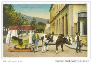 Bullock Car, Madeira, Portugal, 00-10s