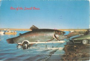 Giant Fish on Boat Trailer Exaggeration Postcard, Continental 1979 Postmark