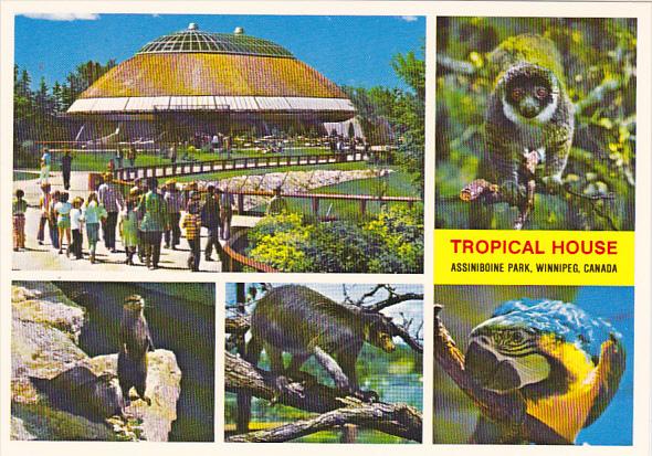 Canada Tropical House Assiniboine Park Winnipeg Manitoba