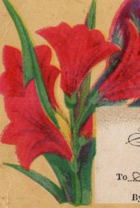 1875 Children's Grade Card Red Lilies & Colorful Wild Bird F119