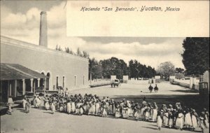 Yucatan Mexico MX Hacienda San Bernando c1910 Vintage Postcard