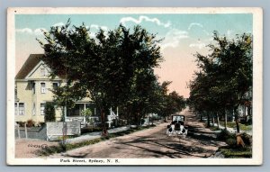 SYDNEY NS CANADA PARK STREET ANTIQUE POSTCARD