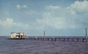 Fishing Pier - Anna Maria, Florida FL  