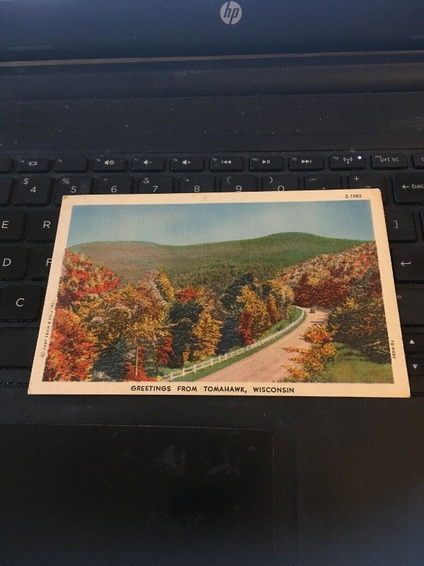 Vintage postcard - Greetings From Tomahawk Wisconsin