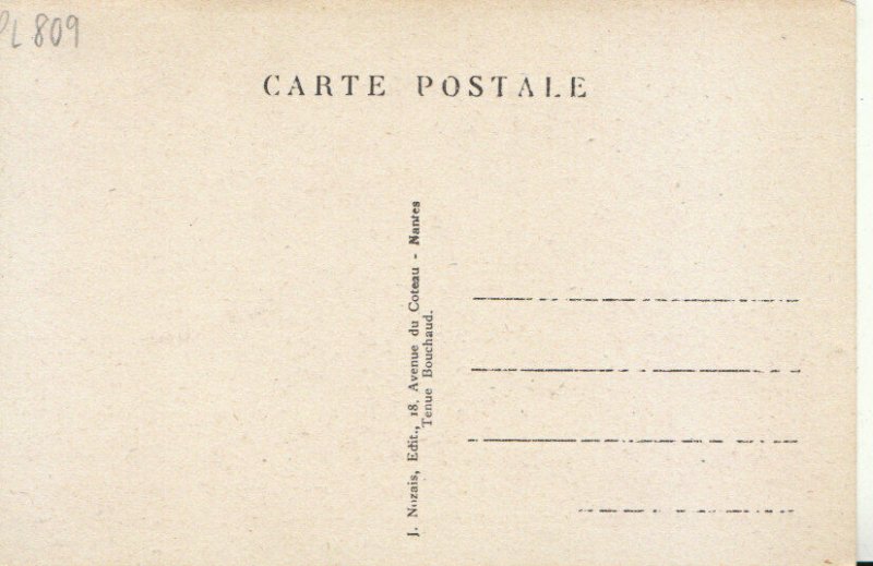 France Postcard - Carnac - Les Alignements De Pierres Druidiques - Ref TZ7913