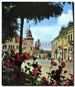 Postcard Modern Gheorghene Vedre din Pista