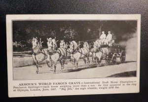 Mint USA Advertising Postcard Armours World Famous Grays Draft Horse Champions