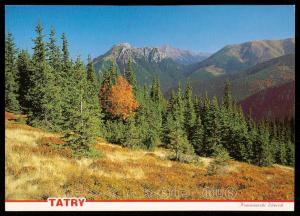 Tatry - Kominiarski Wierch