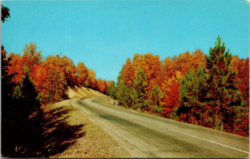 Country Rd Dr Fall Autumn Scene Folliage Postcard VTG UNP Curteich Vintage 