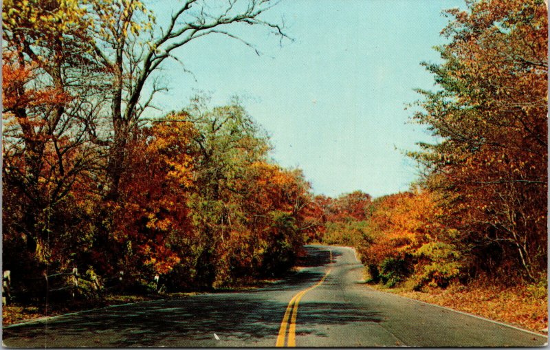 Vtg Autumn on Long Island Leaves Changing Colorful New York NY Postcard