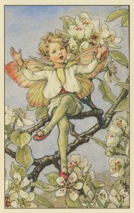 Pear Blossom Fairy From WW2 Flower Fairies Book Postcard