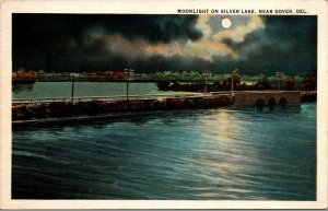 Vtg 1920s Moonlight on Silver Lake near Dover Delaware DE Night View Postcard