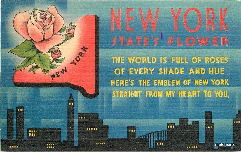 1940s New York State Flower Rose linen Asheville postcard 10881