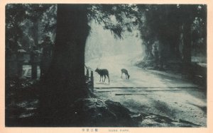 Vintage Postcard 1910's Nara Park at the Foot of Mount Wakakusa Japan JPN