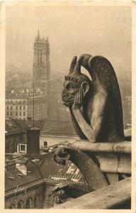 A Chimera architecture Notre Dame Paris France a goulon the left St. James Tower