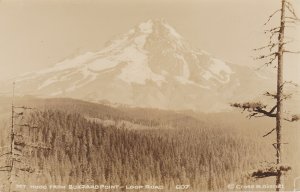 Oregon Mount Hood From Buzzard Point Loop Road Real Photo
