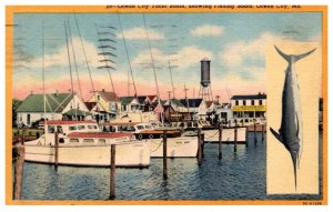 Maryland  Ocean City   Yacht Basin