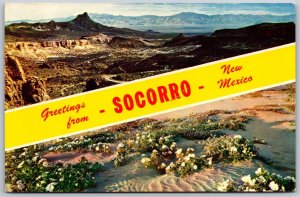 Vtg Greetings from Socorro New Mexico NM Scenic 1950s View Card Postcard