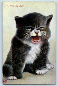 Cat Kitten Postcard Black Haired Crying I Want My Ma c1910's Unposted Antique