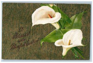 Pawtucket Rhode Island RI Postcard Easter Lily Flowers Embossed Winsch Back 1909