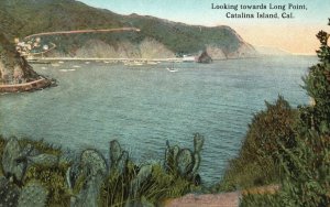 Vintage Postcard Looking Towards Long Point Cactus Catalina Island California CA