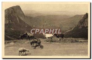 Old Postcard Chevre Surroundings Mont Dore Vallee Sioul and Sanadoire Rocks a...