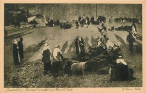 Postcard 1950s Jerusalem Israel Palestine Animal Market Herald's Gate 23-9483