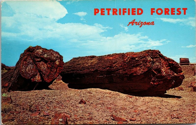 Vtg Arizona AZ Agatized Logs Petrified Forest National Park Postcard