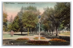 Burrill Avenue University Of Illinois Chapaign IL UNP Albertype Postcard Y2
