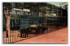 Bear Den Forest Park St Louis Missouri DB Postcard N19