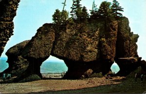 Canada New Brunswick Hopewell Cape The Rocks