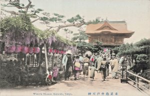 Wisteria Blossom Kameido, Tokyo JAPAN~TINTED PHOTO POSTCARD