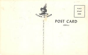 Man Fishing Comic Fishing Unused 