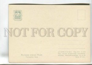 199921 INDIA elephant vase old postcard