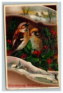 Vintage 1913 Christmas Postcard - Songbirds Mistletoe Holly Berry Lacquer Face