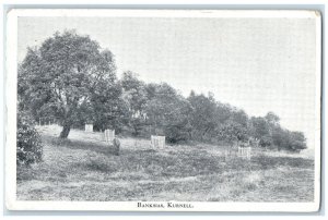 c1920's Banksias Kurnell New South Wales Commonwealth of Australia Postcard