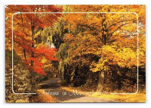 Autumn In Massachusetts Postcard Continental View Card Trees In Fall Colors