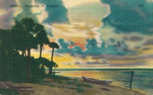 USA Tropical Splendor In Florida Linen Postcard 03.58