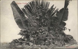 Ceylon India Ceylon Fruits c1910 Vintage Postcard