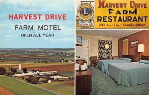 Harvest Drive Farm Motel and Restaurant Gordonville, Pennsylvania PA Postcards