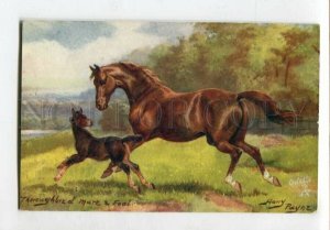 3127035 HORSE Thoroughbred mare & Foal by Harry PAYNE old TUCK