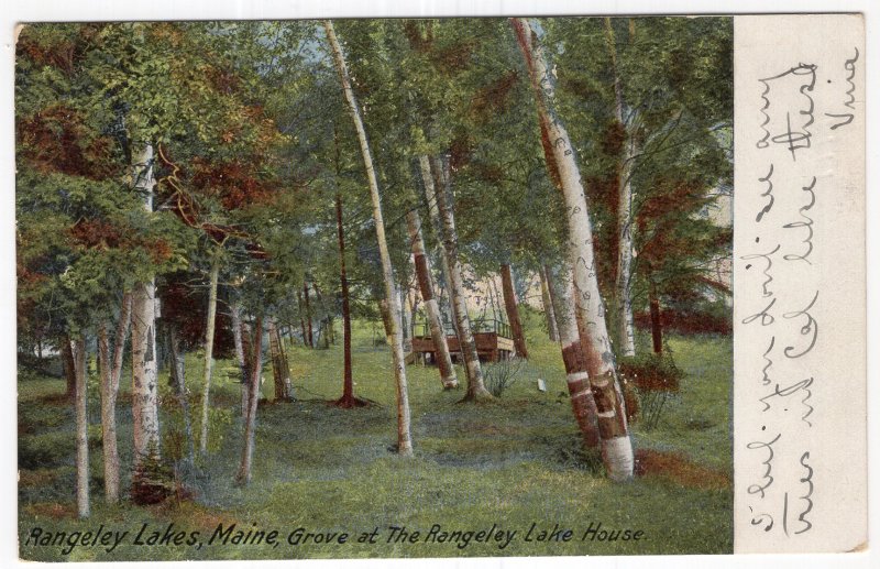 Rangely Lakes, Maine, Grove at The Rangely Lake House