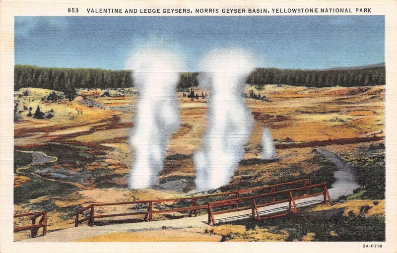 Yellowstone National Park Wyoming 1940s Postcard Valentine & Ledge Geysers 