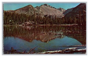 Postcard CO Long's Peak Rocky Mountain Park Colorado Vintage Standard View Card