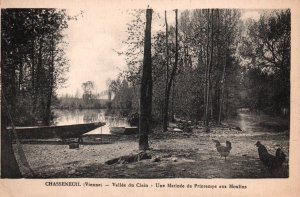 Vallee du Clain,Chasseneuilm,France BIN