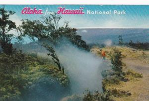 Hawaii Big Island Aloha From Hawaii National Park Showing Steam Crack