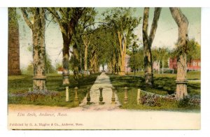 MA - Andover. Elm Arch ca 1906
